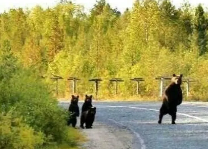 Alojamento de Turismo Rural Miralago Scanno