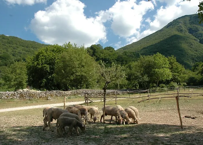 Miralago スカンノ